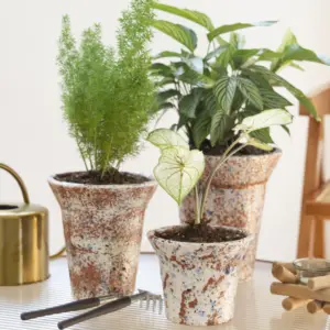 Nouvelle arrivée de jardinière en poterie rouge respirante Pots de fleurs ronds tachetés en terre cuite