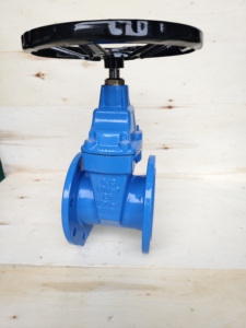 Vanne à opercule à siège élastique en fonte ductile Ggg50 DN125 DIN3352 F4 PN10 PN16 PN25 - Product Image 4