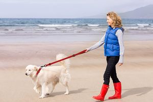 Juego de collares para perros y correas, Collar de martingala reflectante para perros pequeños, medianos y grandes (rojo y S) - Product Image 5