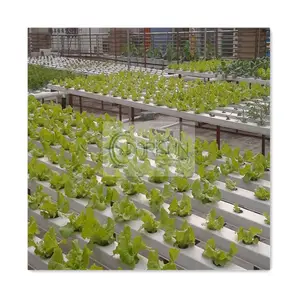 草莓生长系统桁架支撑水培花园垂直水培生长塔系统带灯发光二极管