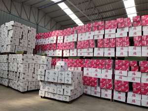 Schiuma floreale verde umido e secco schiuma di fiori per la composizione di fiori freschi e artificiali, <span class=keywords><strong>fioraio</strong></span> in schiuma vegetale forniture per artigianato e matrimoni - Product Image 6