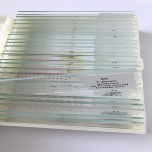 15pcs ếch phôi chuẩn bị kính hiển vi Slide trong hộp nhựa cho nghiên cứu khoa học - Product Image 2