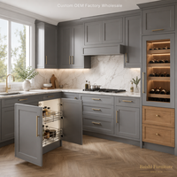 Meubles de cuisine modulaires en MDF avec panneaux mélaminés et évier en acier inoxydable pour projets d'appartements et de villas – Approvisionnement direct usine