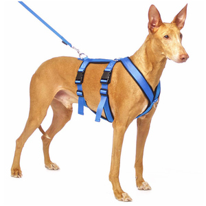 Produsen khusus grosir desain baru jaring udara nyaman bersirkulasi berbantalan tali anjing keamanan nilon H tahan pelarian - Product Image 6