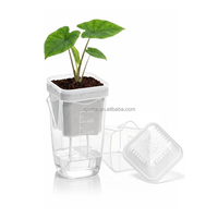 Pot carré auto-arrosant de 8 cm pour plantes succulentes avec bec en V et échelle de mesure, idéal pour semis de plantes tropicales - Vente en gros