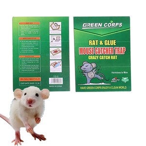Tùy chỉnh động vật gặm nhấm <span class=keywords><strong>Trapper</strong></span> keo Hội Đồng Quản Trị Kích thước 21cm x 16cm OEM Dịch vụ tông Chuột Keo Bẫy Chuột dính Pad - Product Image 1