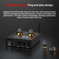 Vakumlu tüp preamplifikatör USB çalar ve kulaklık Amp HiFi ses ön Amp