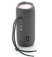 Altavoz Inalámbrico Portátil con Sonido Estéreo de Alta Fidelidad, Resistente al Agua IPX5, Columna para Exteriores con Luz LED RGB y Correa para Colgar