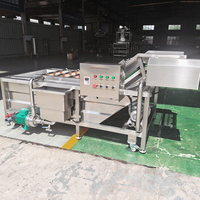 YOUBAN Commerciële Bubbelwasmachine Industriële Groente- en Fruitreinigingsmachine Met Ozon Desinfectiefunctie