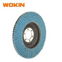 Onduwokin — disque à rabat vertical en oxyde de zircone Type 29 775804, support en fibre