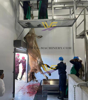 Equipo de matadero de búfalo Equipo de matadero de ganado para matadero con máquina de carnicería