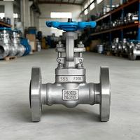 Válvula de Compuerta de Hierro Dúctil Industrial Premium con Vástago Fijo y Sellado Suave, con Cuña de Acero Inoxidable 316L