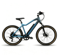 Vélo de montagne électrique en alliage d'aluminium avec assistance, 7 vitesses, 26 pouces, moteur brushless 48V/36V 250W, écran LCD arrière, batterie au lithium