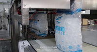 Machine d'emballage automatique de glace à pesée à deux têtes pour glace en bloc granulaire régulière, produit de 1 à 10 kg