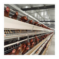 Matériel D'élevage De Volaille automatique Batterie Oeuf Couche Cage de Poulet pour Poules Pondeuses