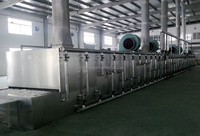Machine de déshydratation de bande de maille de convoyeur automatique, déshydrateur de tunnel continu de nourriture, équipement de déshydratation industriel