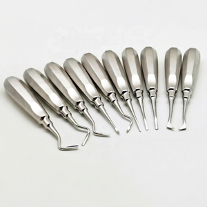 Ensemble de 10 pièces d'élévateurs de racines dentaires avec logo personnalisé Instruments en acier inoxydable avec étui Modèle certifié CE DT-DI-1543 - Product Image 1