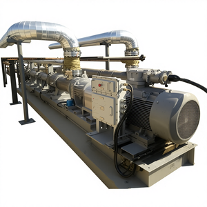 Bombas de Cavidad Progresiva Mono para Transferencia Multiphasa en Campos Petroleros, Transporte de Gas Natural, Crudo y Arena, Motor de Rotor sin Pulsaciones ABB/XIANDA - Product Image 3