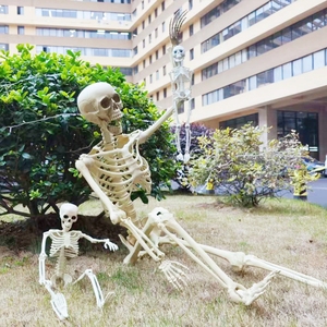 Decoración de Esqueleto de Huesos de Plástico Realista de 60 Pulgadas para Casa Embrujada, Interior y Exterior, Accesorios de Halloween - Product Image 1