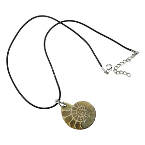 Collana con Ciondolo in Fossile di Conchiglia Naturale, <span class=keywords><strong>Gioielli</strong></span> in Cristallo per Donna e Uomo, Regalo all'Ingrosso - Product Image 6