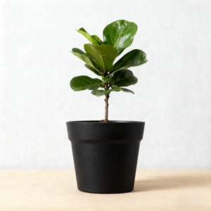Maceta Reutilizable Ligera y Duradera de Diseño Moderno Estándar (Tamaño Grande), Florero/Maceta de Plástico para Decoración del Hogar - Product Image 1