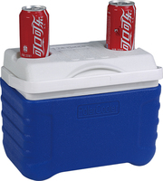 Glacière isotherme portable en PE 8L pour camping, pique-nique, glacière à glace, étanche, durable, pour le stockage