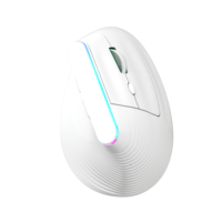 Souris verticale ergonomique sans fil à double mode rétroéclairée RGB 2.4G+BT, souris rechargeable sans fil pour ordinateur et ordinateur portable