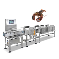 Automatische Rotatiegewichtsselectiemachine voor het sorteren van fruit & groenten, eenvoudige bediening, roestvrij staal 304