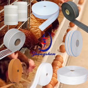 Poultry shen tavuk çiftliği yumurta konveyör bant delikli yumurta kemer \ kanatlı gübre kemer | Kanatlı tavuk kafesi aksesuarları - Product Image 2