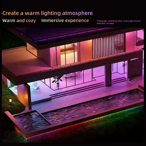 8*16mm luz de neón <span class=keywords><strong>Rgbic</strong></span> 24V 12V Rgb cuerda tira Flex Led luz de neón luces de neón Decoración - Product Image 6