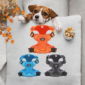 Arnés para Mascotas con Diseño Moderno y Sólido, Transpirable, Reflectante, de Malla de Poliéster Acolchada, para Perros Pequeños y Gatos, Personalizado - Product Image 3