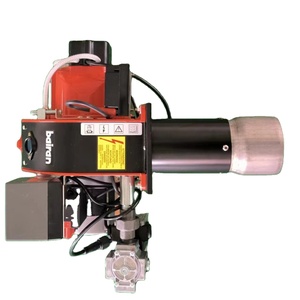 Chaudières industrielles à gaz BAIRAN BURNER GAS BG10 de haute qualité (220v, 50hz) - Vente chaude en usine - Product Image 2