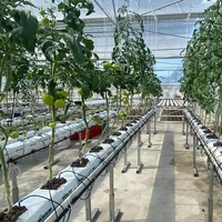 Système de plateau de substrat modulaire pour l'agriculture hydroponique | Aération et drainage radiculaire améliorés