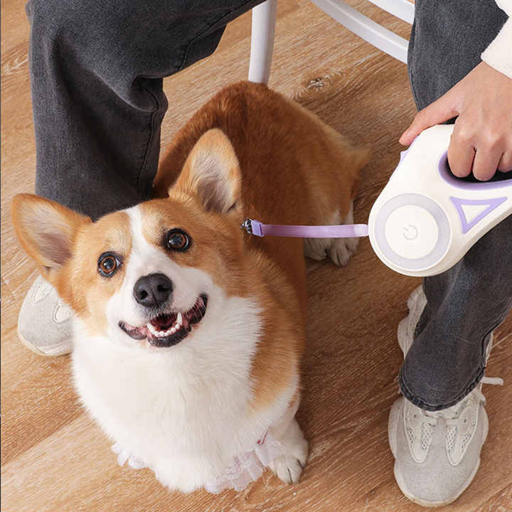 High Quality Luxury Automatic Retractable Nylon Dog Leash LED Light HighVisibility Rope Custom