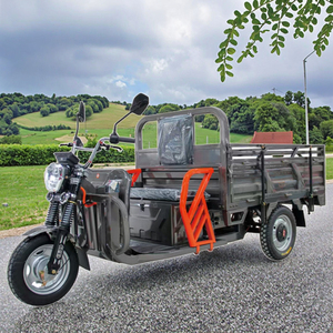 Nhà Máy Outlet Heavy Duty 1200W hàng hóa điện ba bánh 11-20km/h tốc độ mở cơ thể 400kg 60V cơ giới - Product Image 2