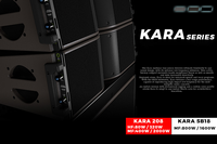 Line Array Haut-Parleur Cabinet Contreplaqué 2 Voies Double 8 Pouces Line Array Extérieur Bois Noir 450w 600W Pro PAKLAM
