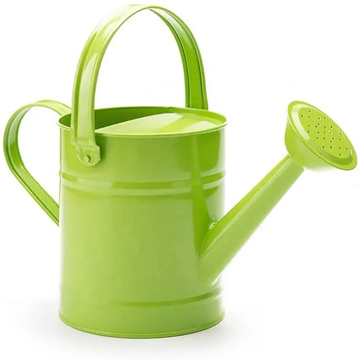 Iron Watering Can Metal Watering Can Copper Accents with Anti-Rust Powder Coating for Gardening Plants Flower