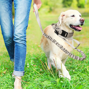 Collier tactique pour chien en nylon réglable, taille moyenne et grande, pour extérieur - Product Image 3