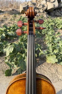 Sinomusik European Material 1744 Ole Bull Guarner Violin pour joueur professionnel - Product Image 6