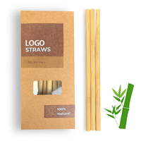 Lot de pailles à boire en bambou 100% naturel, 2 pièces, de haute qualité