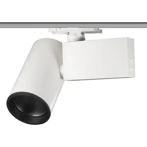 30W CCT Switchable LED Light Zoomable Spot Light Focusable Track Spotlight For Paintings And Pictures