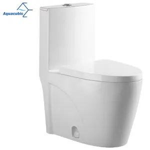 Aquacubic热卖厕所一件式加长WC马桶