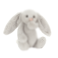 Peluche esthétique Jelly Cats, 500 designs uniques, jouet en peluche animal, lapin Bashful, divers pendentifs, sac bandoulière en peluche