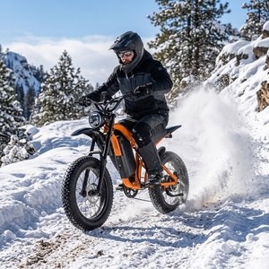 Bicicletta Elettrica da Fuoristrada Originale di Fabbrica ad Alta Potenza con Motore da 750W <span class=keywords><strong>e</strong></span> Pneumatici Larghi per Adulti - Product Image 3