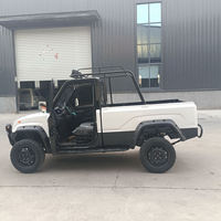Mini pick-up électrique tout-terrain à cabine simple, pneus tout-terrain, benne ouverte pour le transport agricole en extérieur