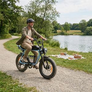 Bicicleta Eléctrica Todoterreno con Neumáticos Anchos y Frenos de Disco Hidráulicos, Bicicleta Cruiser para Rutas Panorámicas y Picnics en la Orilla del Lago - Product Image 5