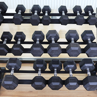 Haltères hexagonaux en fonte recouverts de caoutchouc de qualité supérieure avec poignée chromée pour l'entraînement du corps et des bras, plage de poids de 2,5 à 50 kg, durables