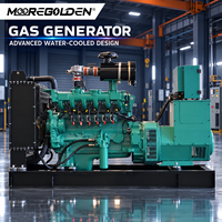 Automatisch Startender 40kW 50kVA Biogas-Generator für Landwirtschaft und Abfallenergie-Projekte
