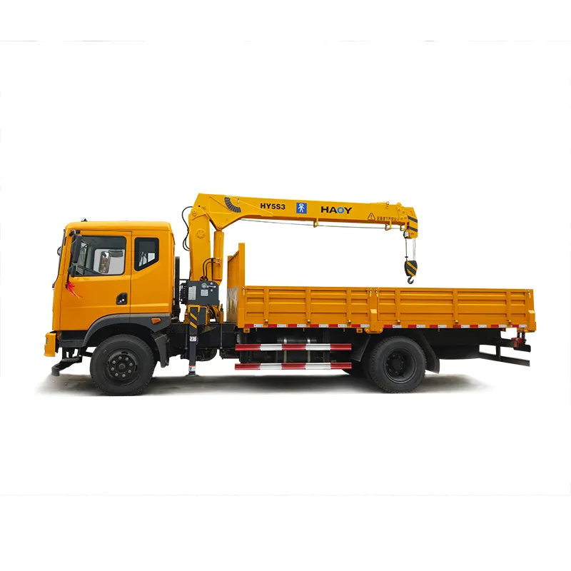 Grue de levage peut être assemblée camion grue télécommande camion monté grue camion utilitaire