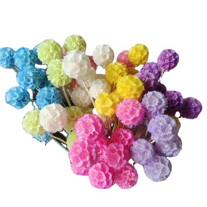 Accesorios de Flores Preservadas de China, Fruta de <span class=keywords><strong>Gusano</strong></span> de <span class=keywords><strong>Pino</strong></span> de una Sola Cabeza, Fruta Molino de Viento, Material para Manualidades, Caja de Flores con Tapa de Vidrio, Venta al por Mayor - Product Image 5